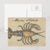 Lobster Illustration Antiek Maine Seafood Briefkaart (Voorkant / Achterkant)
