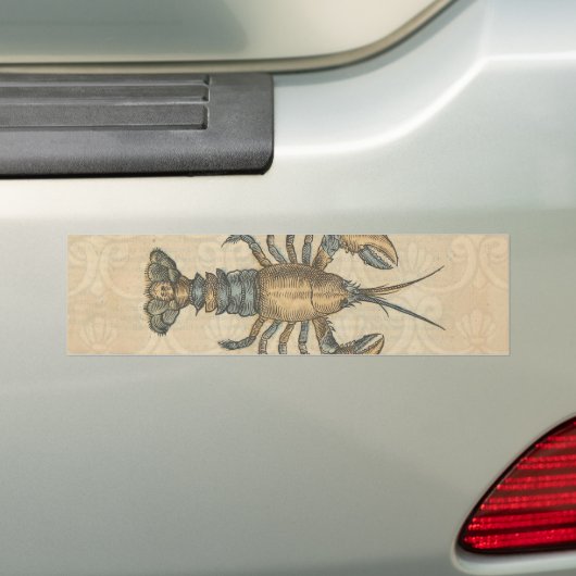 Lobster Illustration Antiek Maine Seafood Bumpersticker (Op auto)