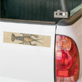 Lobster Illustration Antiek Maine Seafood Bumpersticker (Op Truck)