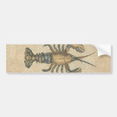 Lobster Illustration Antiek Maine Seafood Bumpersticker (Voorkant)