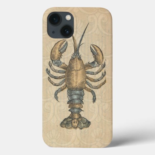 Lobster Illustration Antiek Maine Seafood Case-Mate iPhone Case (Achterkant)
