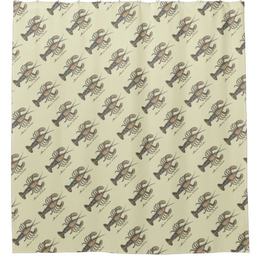 Lobster Illustration Antiek Maine Seafood Douchegordijn (Voorkant)