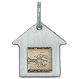 Lobster Illustration Antiek Maine Seafood Huisdieren Naamplaatje