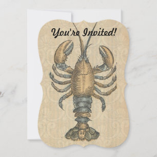 Lobster Illustration Antiek Maine Seafood Kaart