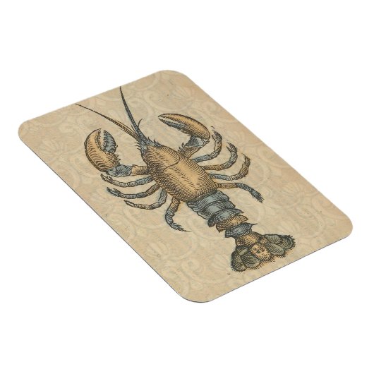 Lobster Illustration Antiek Maine Seafood Magneet (Rechterzijde)
