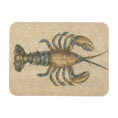 Lobster Illustration Antiek Maine Seafood Magneet (Horizontaal)