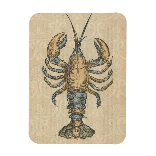 Lobster Illustration Antiek Maine Seafood Magneet (Verticaal)