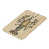 Lobster Illustration Antiek Maine Seafood Magneet (Linkerzijde)