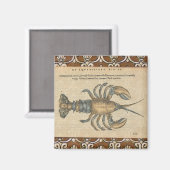 Lobster Illustration Antiek Maine Seafood Magneet (Voorkant / Achterkant)