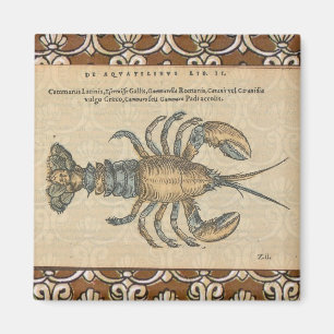 Lobster Illustration Antiek Maine Seafood Magneet