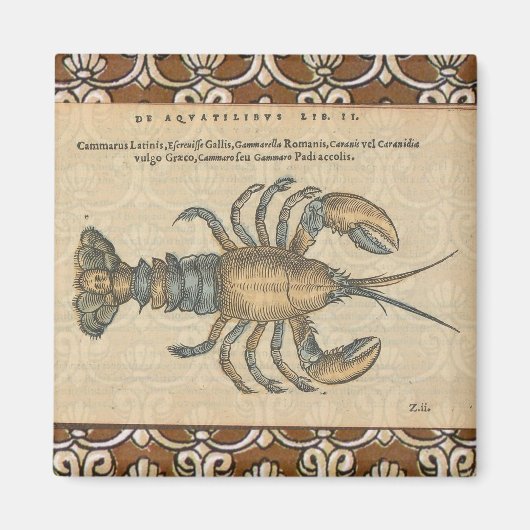 Lobster Illustration Antiek Maine Seafood Magneet (Voorkant)