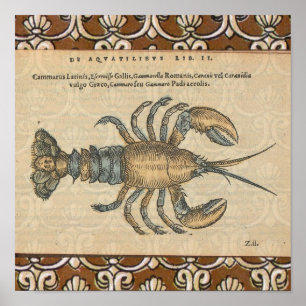 Lobster Illustration Antiek Maine Seafood Poster
