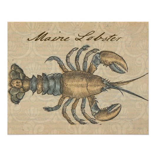 Lobster Illustration Antiek Maine Seafood Poster (Voorkant)