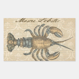 Lobster Illustration Antiek Maine Seafood Rechthoekige Sticker