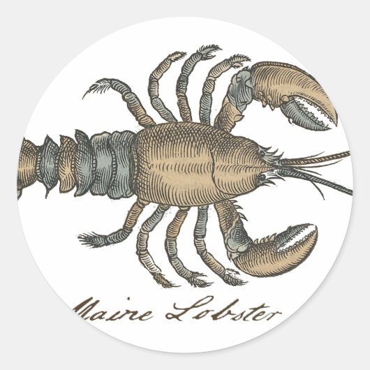 Lobster Illustration Antiek Maine Seafood Ronde Sticker (Voorkant)