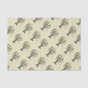 Lobster Illustration Antiek Maine Seafood Tissuepapier