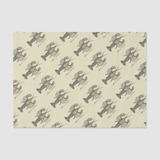 Lobster Illustration Antiek Maine Seafood Tissuepapier (Voorkant)