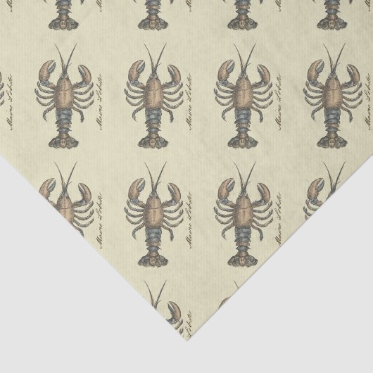 Lobster Illustration Antiek Maine Seafood Tissuepapier (Detail)