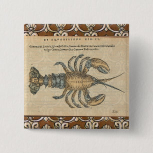 Lobster Illustration Antiek Maine Seafood Vierkante Button 5,1 Cm