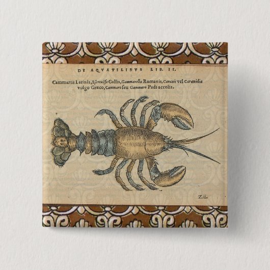 Lobster Illustration Antiek Maine Seafood Vierkante Button 5,1 Cm (Voorkant)