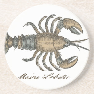 Lobster Illustration Antiek Maine Seafood Zandsteen Onderzetter