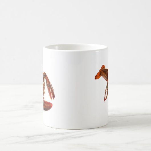 Lobster Koffiemok (Center)