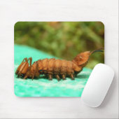 Lobster Moth Caterstone Mouse Mat. Muismat (Met muis)