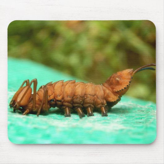 Lobster Moth Caterstone Mouse Mat. Muismat (Voorkant)