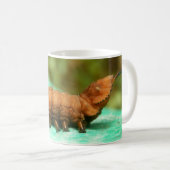 Lobster Moth Caterstyle Bug Mok (Voorkant rechts)