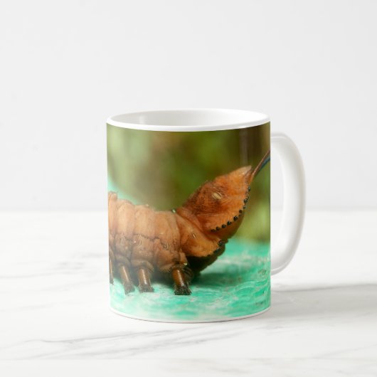 Lobster Moth Caterstyle Bug Mok (Voorkant rechts)