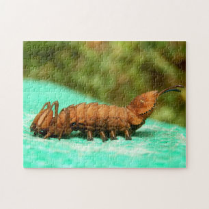 Lobster Moth Caterstyle Photo Puzzle and Gift Box Legpuzzel