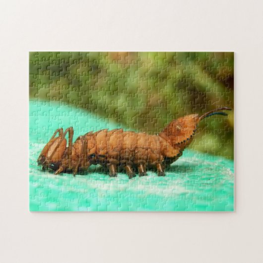 Lobster Moth Caterstyle Photo Puzzle and Gift Box Legpuzzel (Horizontaal)