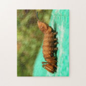 Lobster Moth Caterstyle Photo Puzzle and Gift Box Legpuzzel (Verticaal)