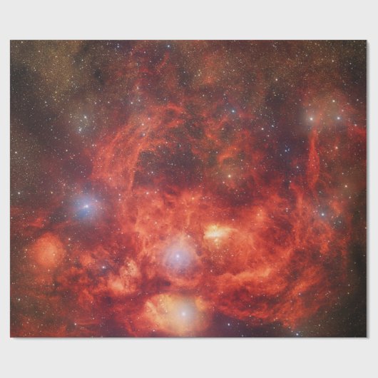 Lobster Nebula Cadeaupapier (Vlak)