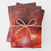 Lobster Nebula Inpakpapier Vel (In situ)