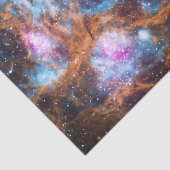 Lobster Nebula Tissuepapier (Detail)