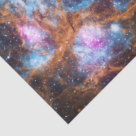 Lobster Nebula Tissuepapier (Detail)