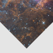 Lobster Nebula Tissuepapier (Detail)