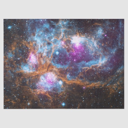 Lobster Nebula Tissuepapier (Voorkant)