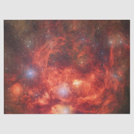 Lobster Nebula Tissuepapier (Voorkant)