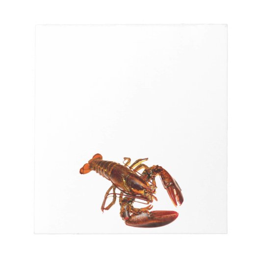 Lobster Notitieblok (Voorkant)