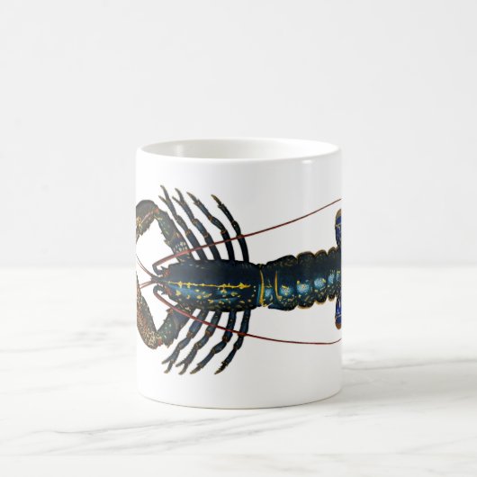 Lobster -  ontwerp koffiemok (Center)