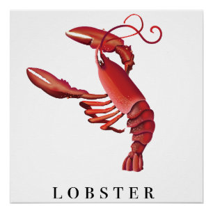 Lobster Perfect Poster