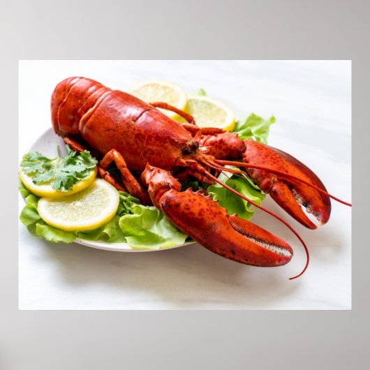 Lobster Photo Poster (Voorkant)