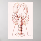 Lobster Poster ~ American Lobster (Voorkant)