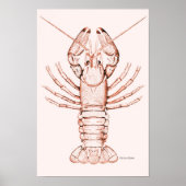 Lobster Poster ~ River Cray-Fish (Voorkant)