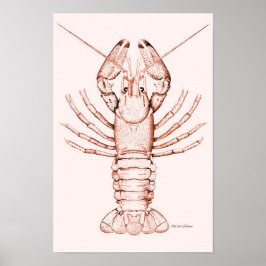 Lobster Poster ~ River Cray-Fish
