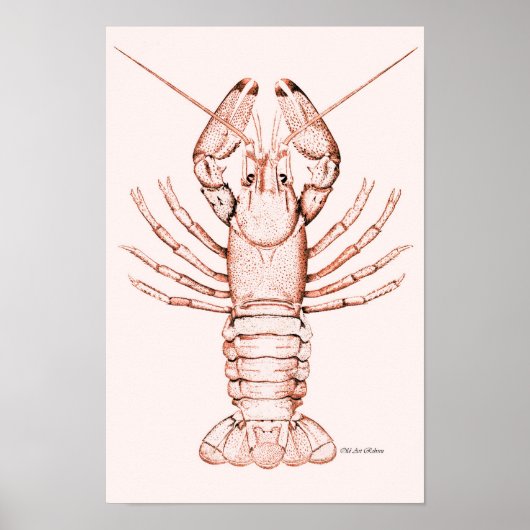 Lobster Poster ~ River Cray-Fish (Voorkant)