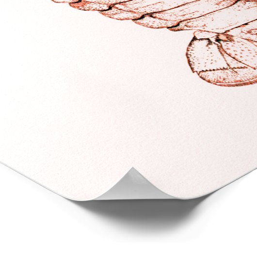 Lobster Poster ~ River Cray-Fish (Hoek)