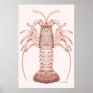 Lobster Poster ~ Rock Lobster